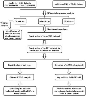 Identification of DGUOK-AS1 as a Prognostic Factor in Breast Cancer by Bioinformatics Analysis